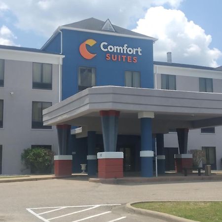 Comfort Suites Airport South Montgomery Bagian luar foto